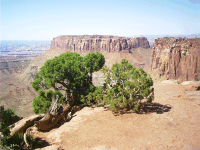 Grandview Point, Island in the Sky, Canyonlands NP