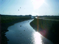 Swallows over a Canal, Keystone, NE
