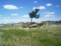 Tree Rock, I-80, Laramie, WY
